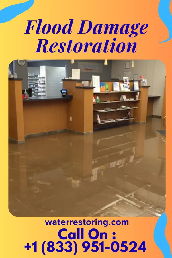 Flood Damage Restoration in Broad Creek, NC