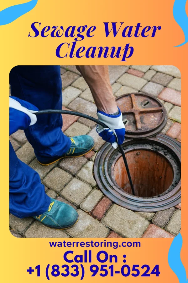 Sewage Water Cleanup in Broad Creek, NC